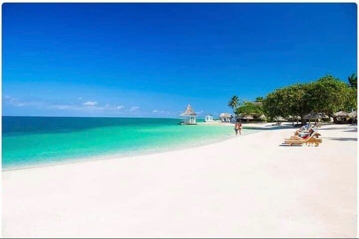 Jam west adventure park tour from Montego Bay