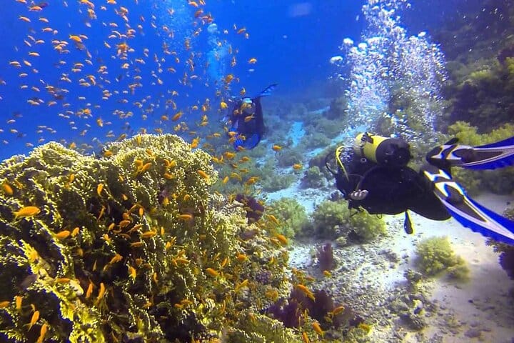 sharm el sheikh safari trip