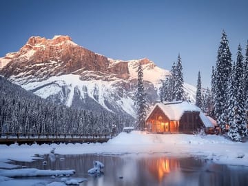 Lake Louise, Emerald Lake and Peyto Lake Tour from Banff