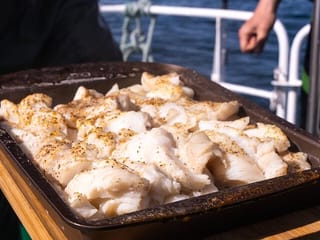 Reykjavik's Finest Catch: Guided Sea Angling Tour for All Levels, photo 15