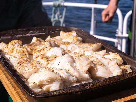 Reykjavik's Finest Catch: Guided Sea Angling Tour for All Levels, photo 15