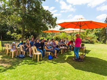 Photography Tour of Kiambethu Tea Farm from Nairobi