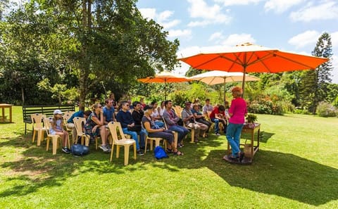 Photography Tour of Kiambethu Tea Farm from Nairobi