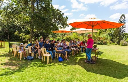 Photography Tour of Kiambethu Tea Farm from Nairobi