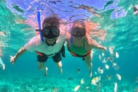 Squad's all here for Spring Break in Punta Cana! Book the Private Catamaran Party for non-stop fun, music, and exclusive swim stops—don't forget your snorkel gear for the underwater adventure!