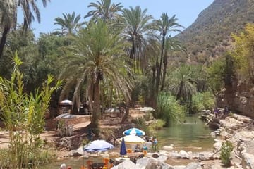 Paradise Valley and Sand Dunes Day Trip from Agadir