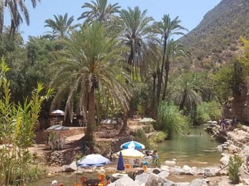 from agadir : Essaouira – guided day trip