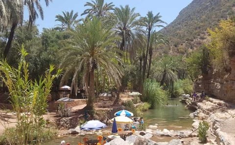Paradise Valley and Sand Dunes Day Trip in Agadir