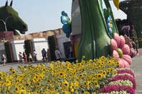 Miracle Garden Global Village Transportation from RAK 5