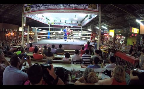 Muay Thai Experience at Thapae Boxing Stadium in Chiang Mai