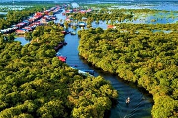 Floating Village and Siem Reap City Tuk-Tuk Tour