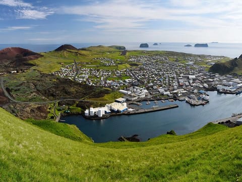 Westman Islands - Reykjavik (Bus transfer from Landeyjahöfn), photo 4