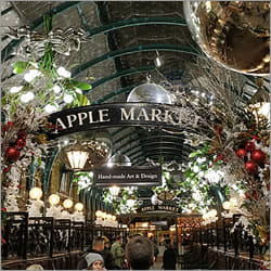 Christmas Westminster tour