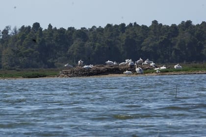 Karavasta lagoon and Boat trip – Daily tour from Tirana