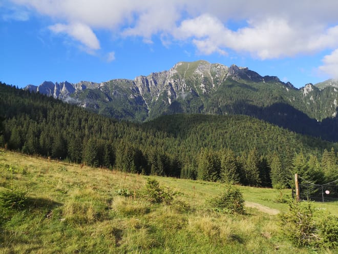 PRIVATE, EASY Day Hike in Carpathian Mountains 10