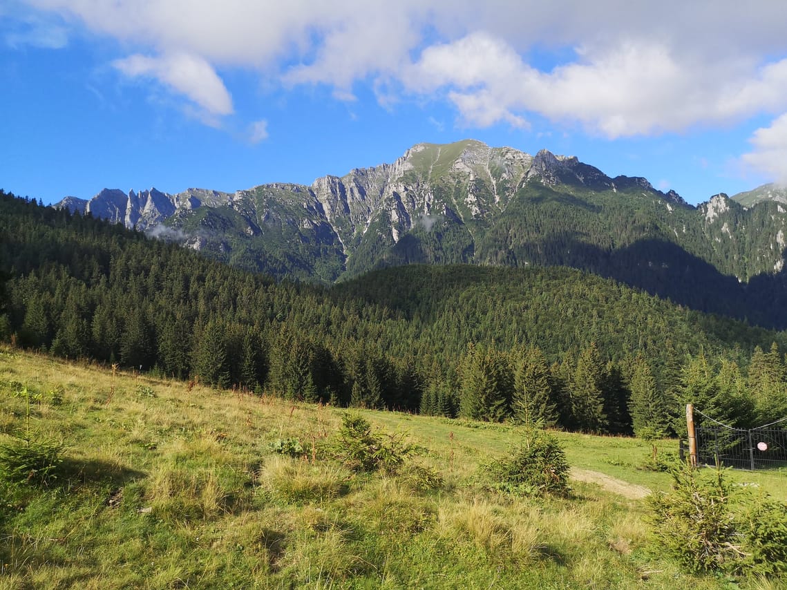 PRIVATE, EASY Day Hike in Carpathian Mountains 10