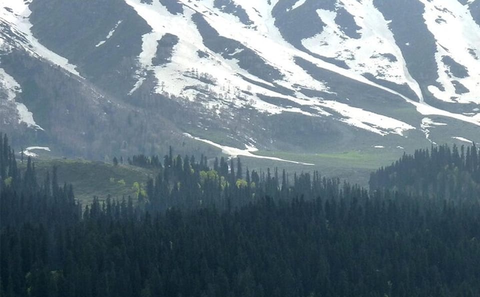 Gulmarg Day Trip with Scenic Cable Car from Srinagar