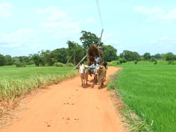 Pidurangala and Sigiriya Adventure Tour in Sri Lanka