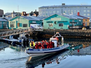 Reykjavík Premium Whale Watching, photo 29