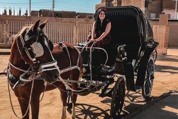 Private Horse-Carriage Tour of Historic Luxor, Egypt