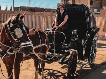 Private Horse-Carriage Tour of Historic Luxor, Egypt