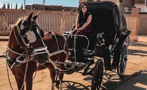 Private Horse-Carriage Tour of Historic Luxor, Egypt