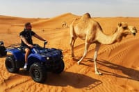 Dubai: Quad Bike Safari, Camels, & Camp with BBQ Dinner 10
