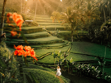 Uluwatu Temple and Kecak Sunset Dance