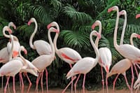 world of birds cape town