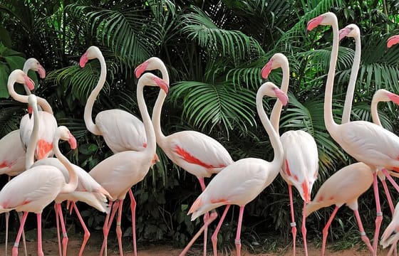 Private Cape Town City Tour table Mountain with wine tasting