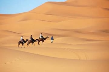Dubai City Tour and Desert Safari Experience in One Day