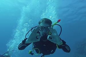 Intro diving for beginners 