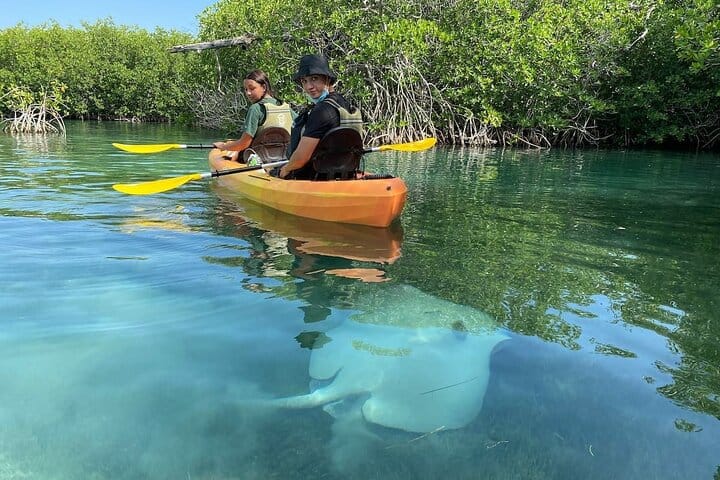 Cancun Nichupte Lagoon Morning Kayak Adventure 6