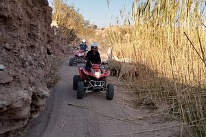 Desert Quad Biking plus Camel Riding and Starry Dinner