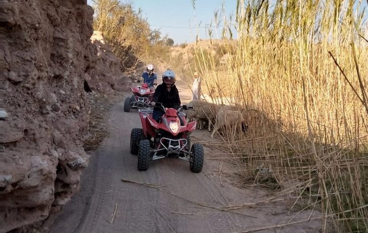 Desert Quad Biking plus Camel Riding and Starry Dinner