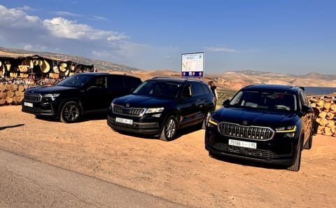 Private Transfer from Fes to Chefchaouen with Volubilis Stop