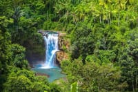 Ubud: Monkey Forest, Jungle Swing, Rice Terrace and Water Temple 2