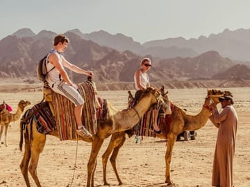 Camel Ride and Bedouin Dinner with Stargazing in Sharm El-Sheikh