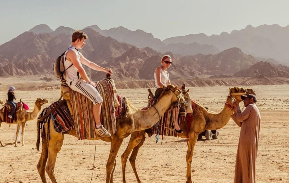 Camel Ride and Bedouin Dinner with Stargazing in Sharm El-Sheikh