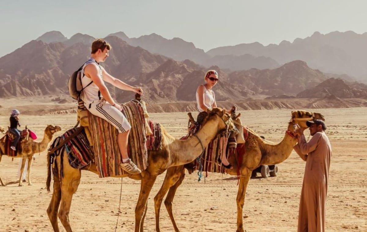 Camel Ride-Bedouin Dinner & oriental Show and Stargazing