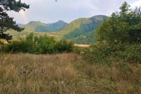 On the way to Borjomi