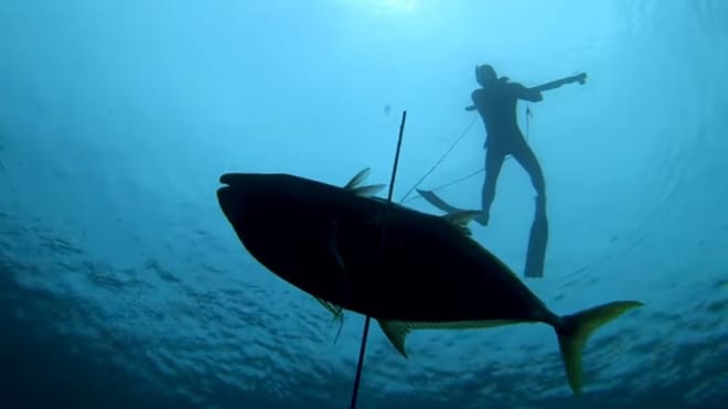 East Bali: Fishing Tour Spear or Line at Virgin Beach 8