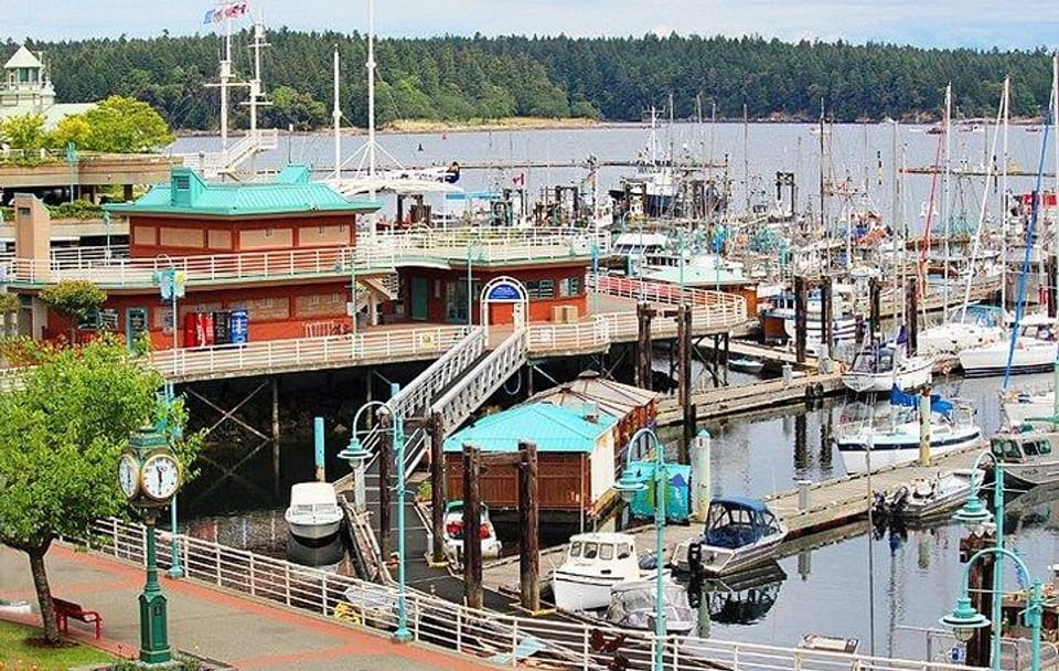 Vancouver to Nanaimo, Ucluelet, Tofino 2 Days Harbour City Tour Private