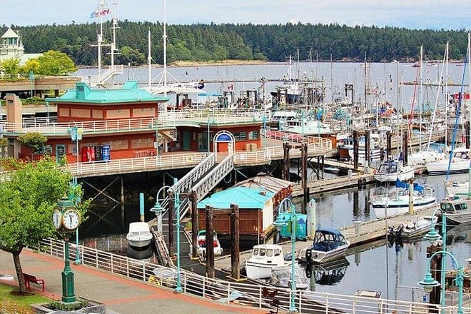Vancouver to Nanaimo, Ucluelet, Tofino 2 Days Harbour City Tour Private