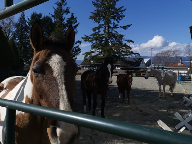 Maple Ridge Explorer Private Tour photo 6