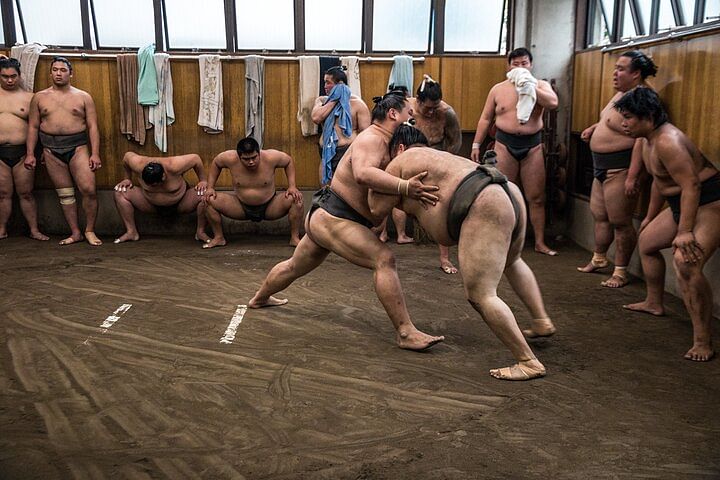 Tokyo Sumo Morning Practice Tour at Stable