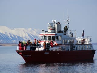 Akureyri Classic Whale Watching, photo 19