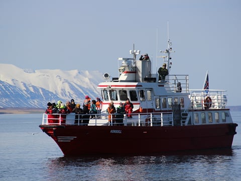 Akureyri Classic Whale Watching, photo 19