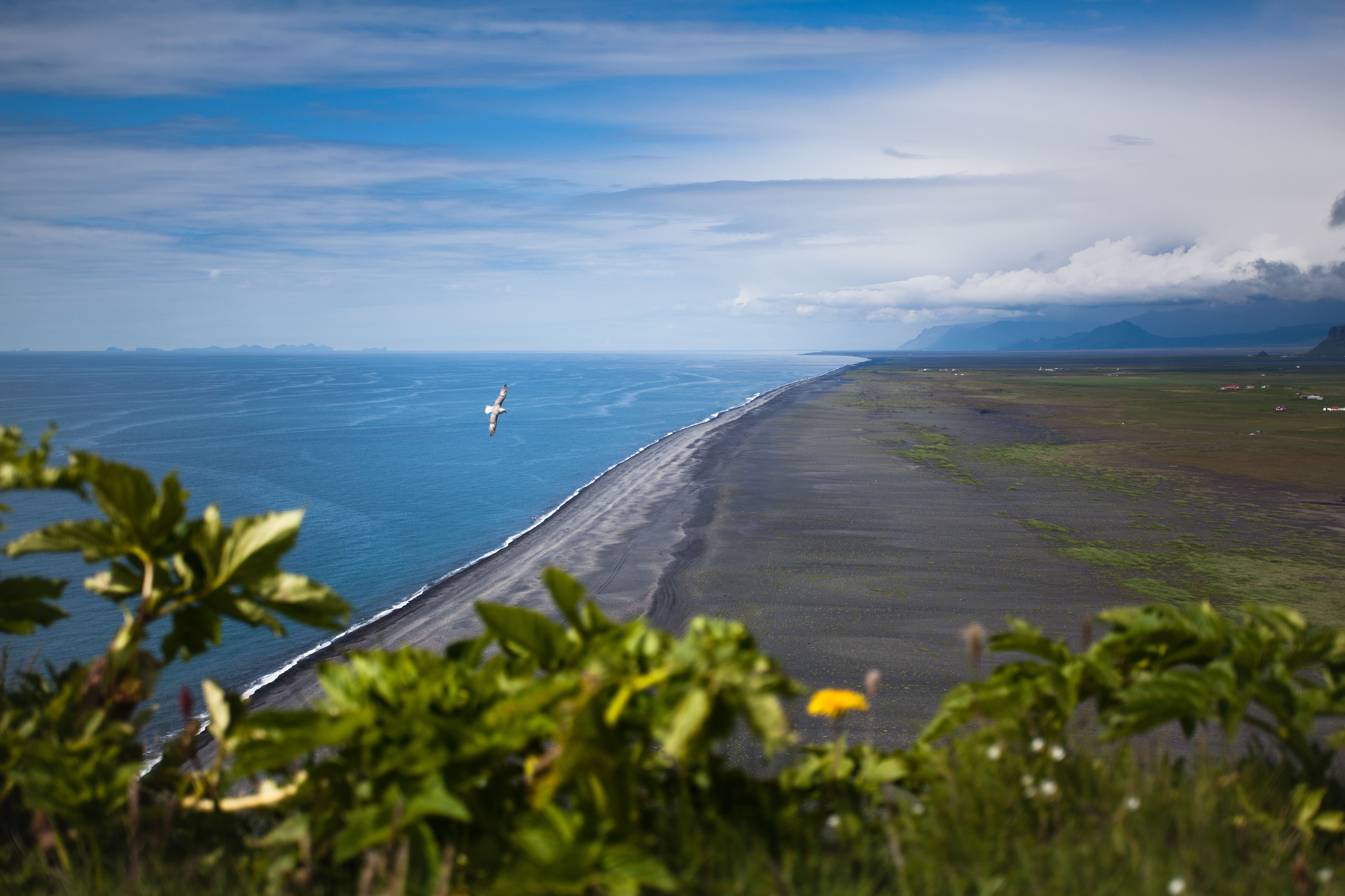 Overlooking Reynisfjara Black Sand Beach and Atlantic Ocean