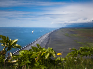 Overlooking Reynisfjara Black Sand Beach and Atlantic Ocean
